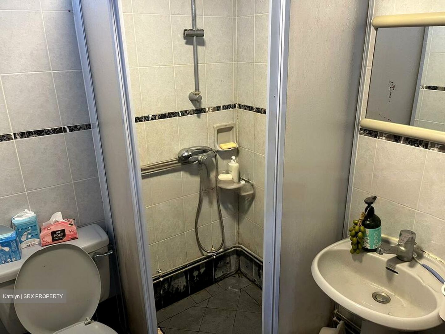 Le Wilkie (D9), Apartment #465673311